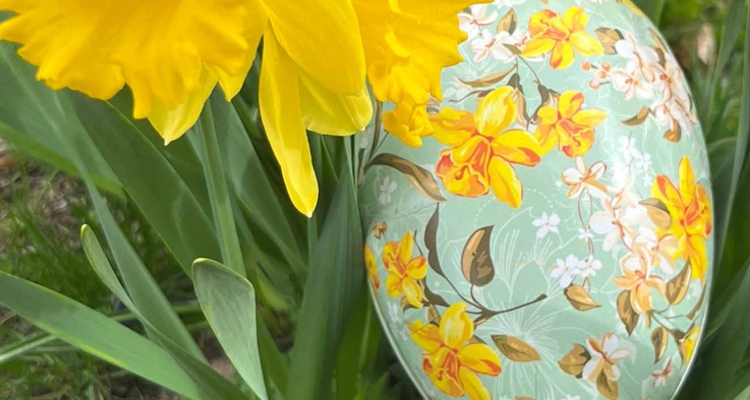 Nestler GmbH Feinkartonagen